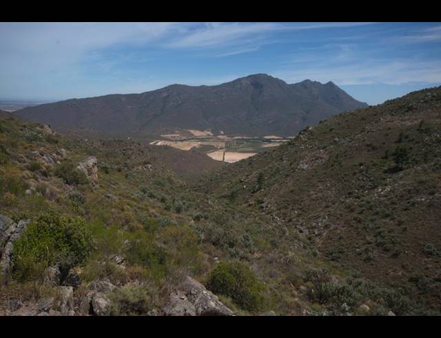 FARM FOR SALE IN PIKETBERG RURAL